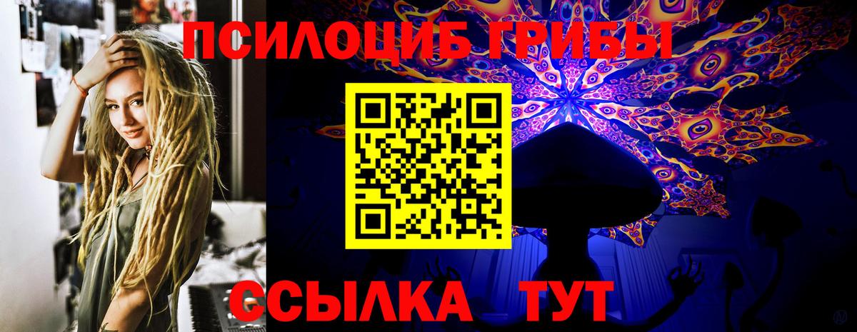 Псилоцибиновые грибы Psilocybe Егорьевск